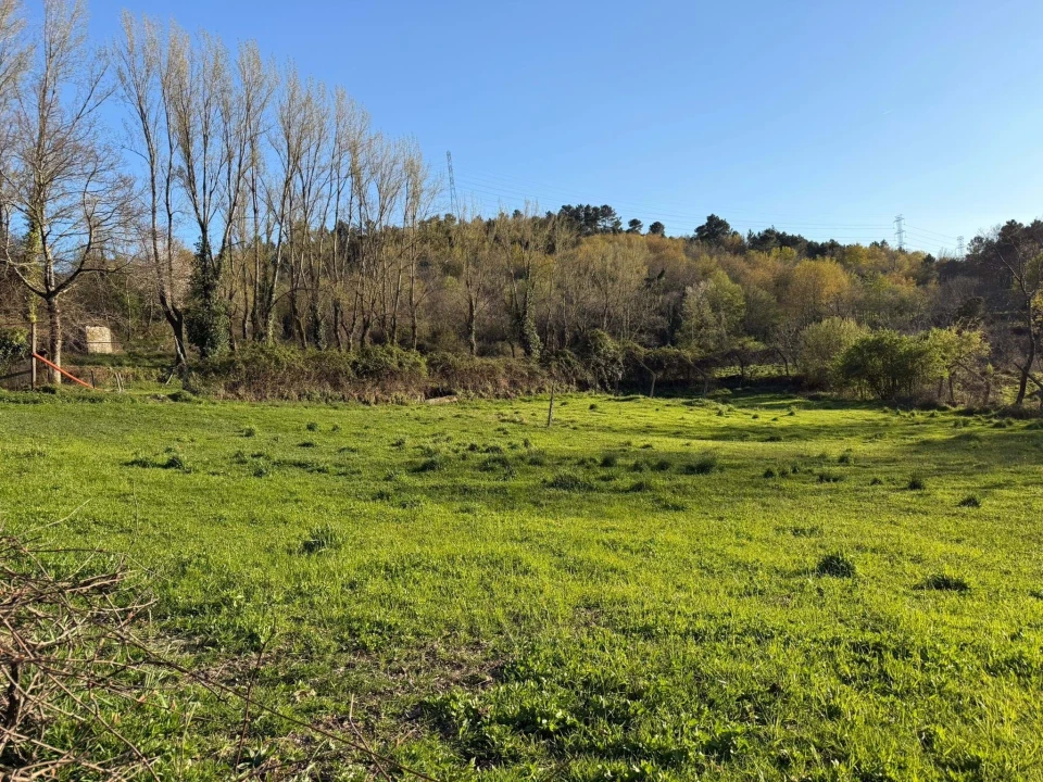 Terreno para Venda em Campelo e Ovil Foto 2