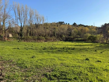 Terreno para Venda em Campelo e Ovil