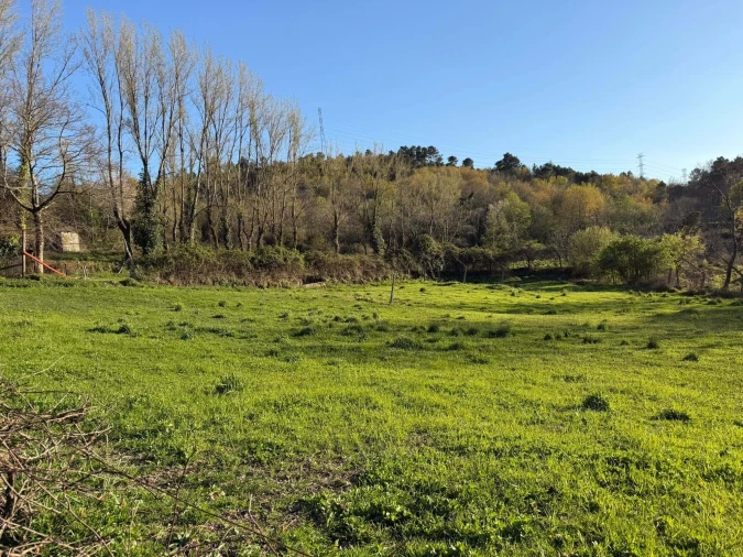 Terreno para Venda em Campelo e Ovil Foto 2