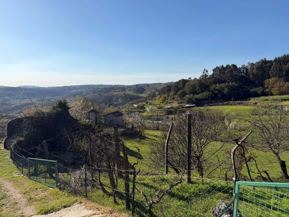 Terreno para Venda em Gove Foto 20