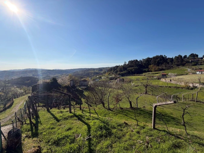 Terreno para Venda em Gove Foto 17