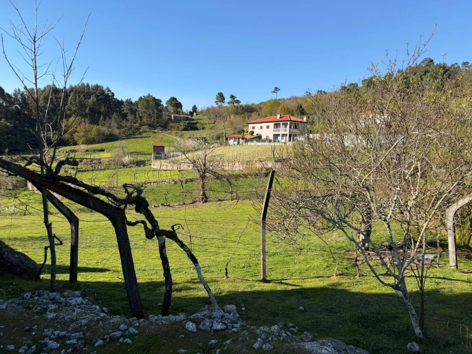 Terreno para Venda em Gove Foto 14