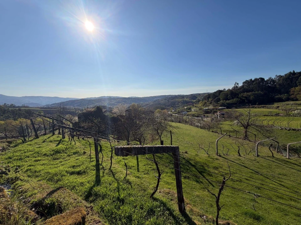 Terreno para Venda em Gove Foto 19