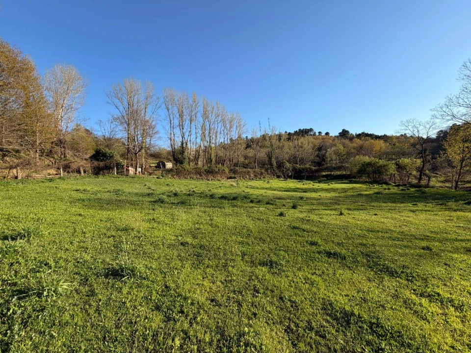 Terreno para Venda em Gove Foto 3