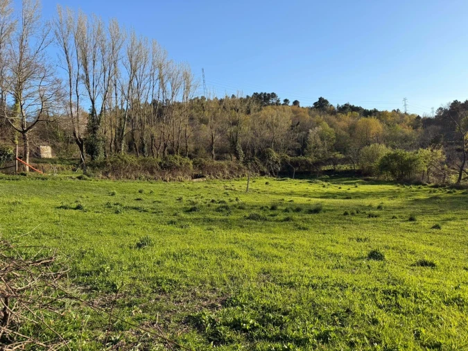 Terreno para Venda em Gove Foto 4