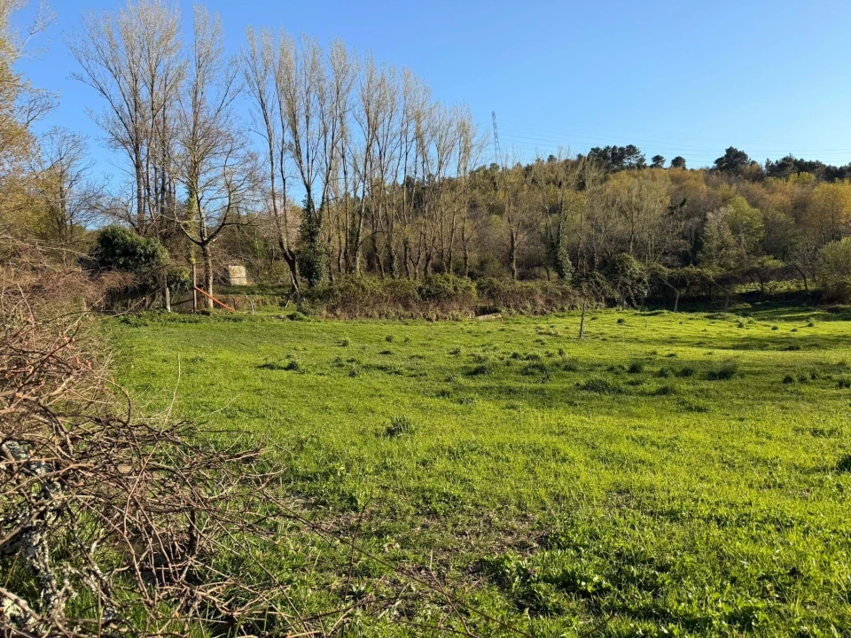 Terreno para Venda em Gove Foto 2