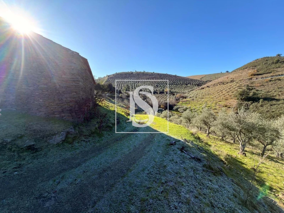 Quinta para Venda em Ligares Foto 17