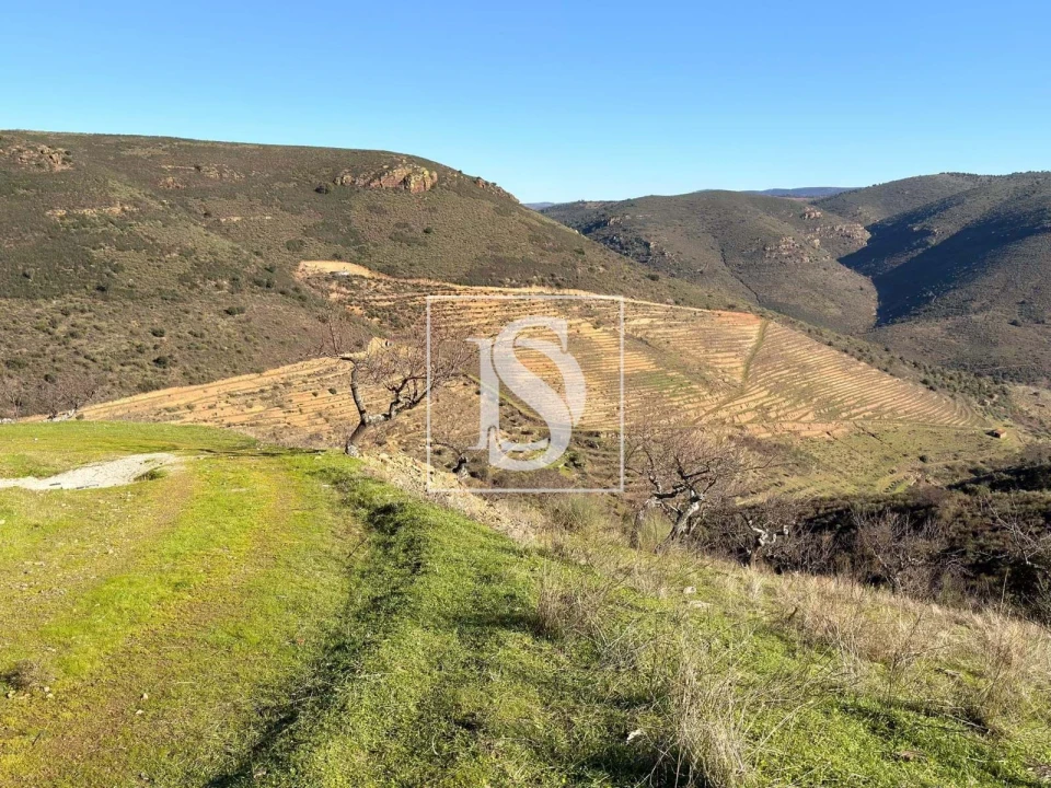 Quinta para Venda em Ligares Foto 12