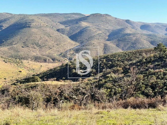 Quinta para Venda em Ligares Foto 6