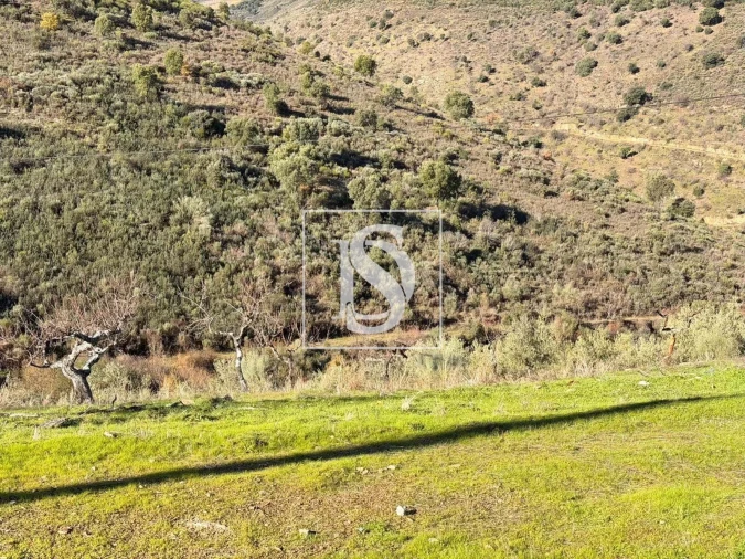 Quinta para Venda em Ligares Foto 4