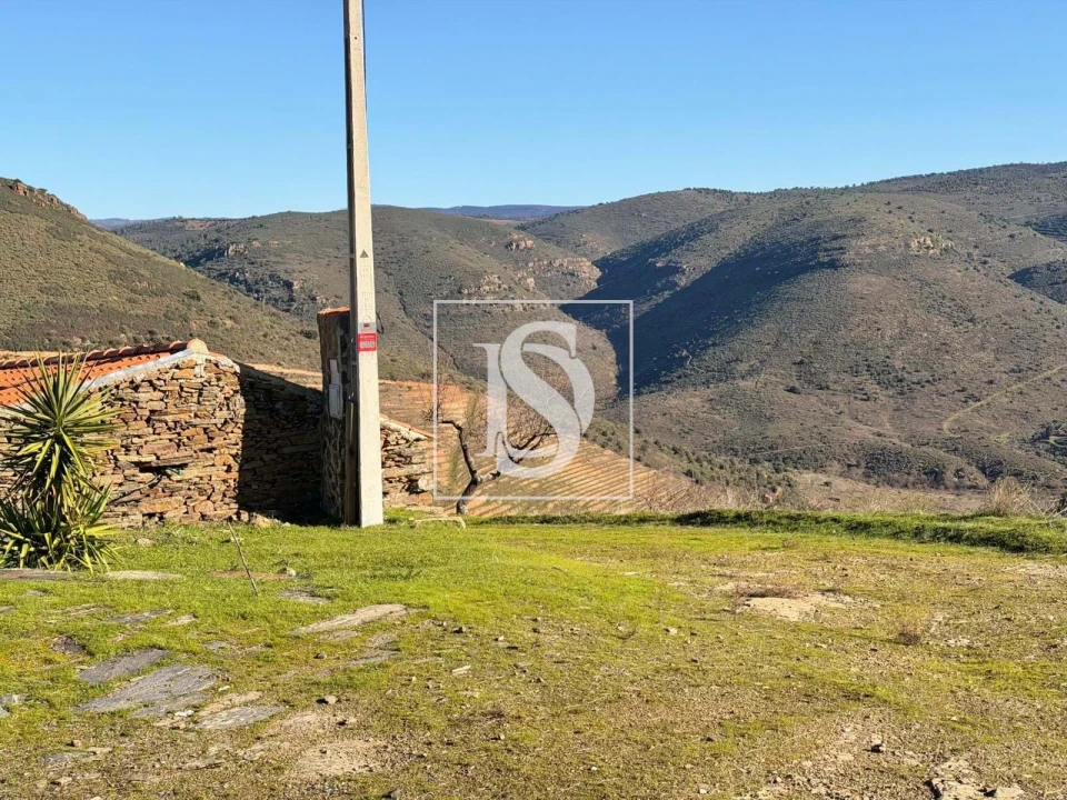 Quinta para Venda em Ligares Foto 5