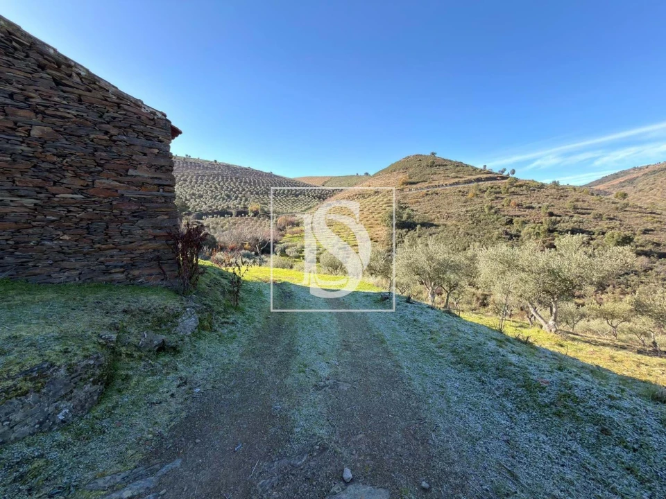 Quinta para Venda em Ligares Foto 16