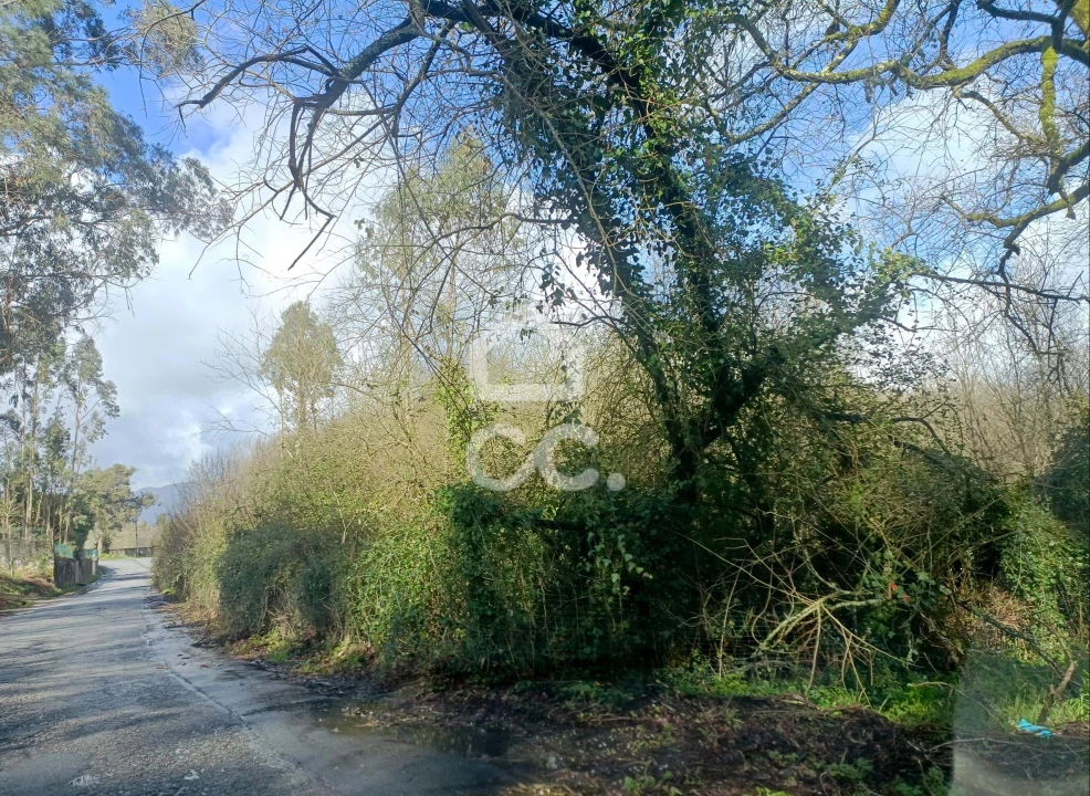 Terreno para Venda em Santa Maria Maior e Monserrate e Meadela Foto 6