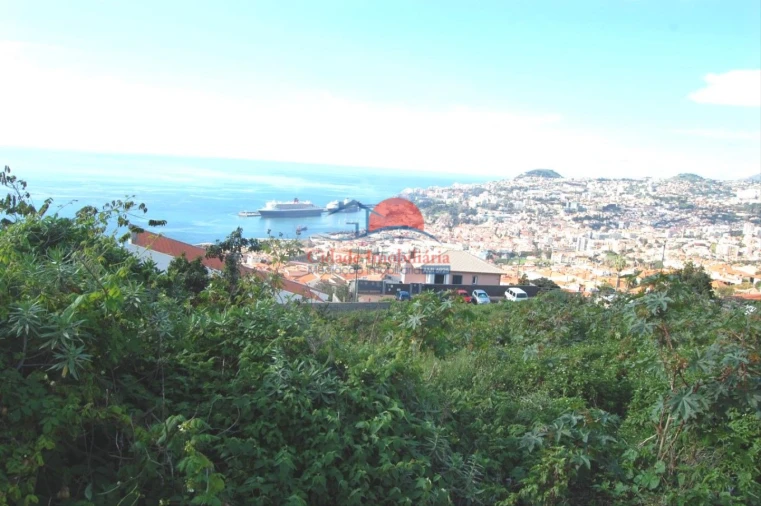 Terreno para Venda em Funchal (Santa Maria Maior) Foto 3