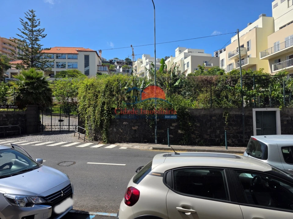 Loja para Venda em São Martinho Foto 12