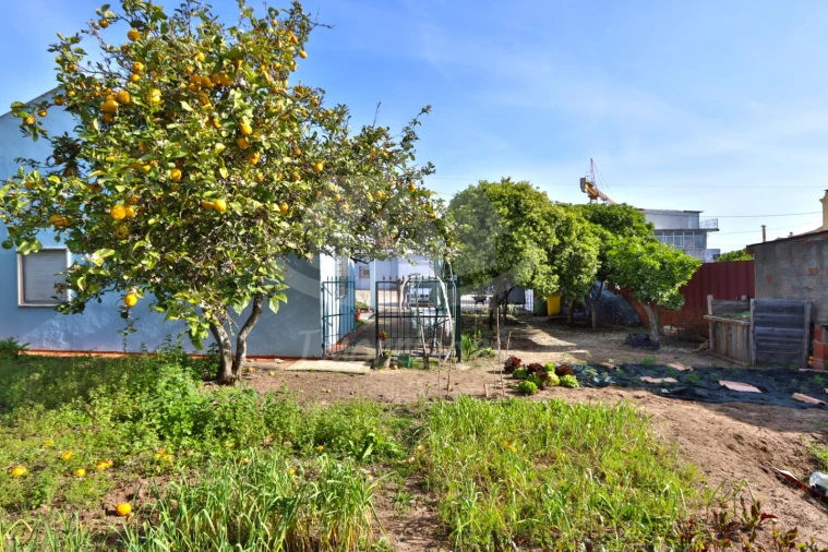 Moradia T3 para Venda em Santa Iria de Azoia, São João da Talha e Bobadela Foto 6