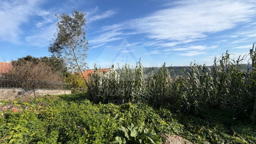 Terreno Agricola ou Rústico para Venda em Camarate, Unhos e Apelação Foto 4