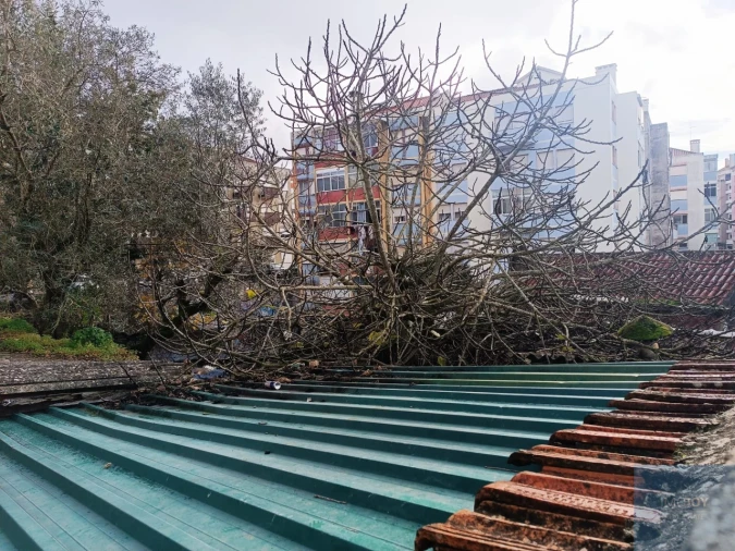 Terreno para Venda em Agualva e Mira-Sintra Foto 24