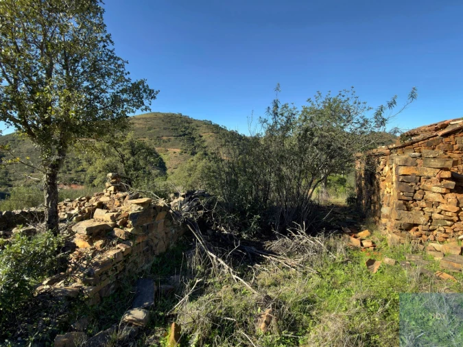Terreno Misto para Venda em São Bartolomeu de Messines Foto 14