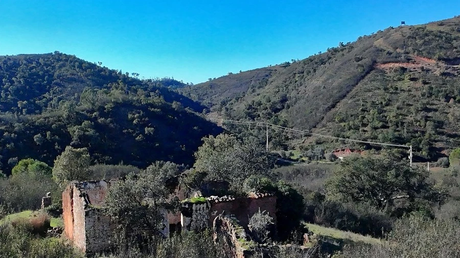 Terreno Misto para Venda em São Bartolomeu de Messines