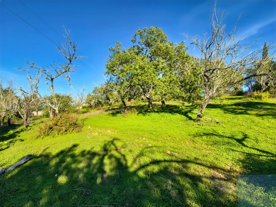 Terreno Agricola ou Rústico para Venda em Paderne Foto 1