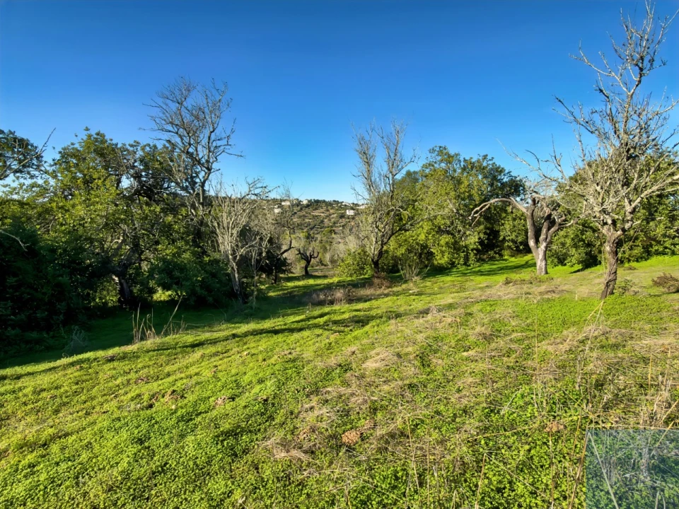 Terreno Agricola ou Rústico para Venda em Paderne Foto 4