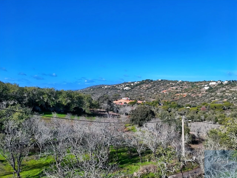 Terreno Agricola ou Rústico para Venda em Paderne Foto 11