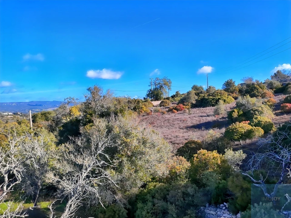 Terreno Agricola ou Rústico para Venda em Paderne Foto 14