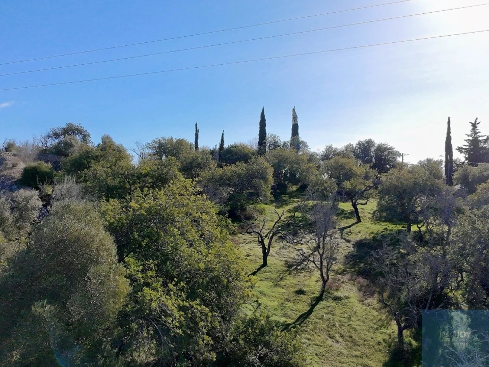 Terreno Agricola ou Rústico para Venda em Paderne Foto 16