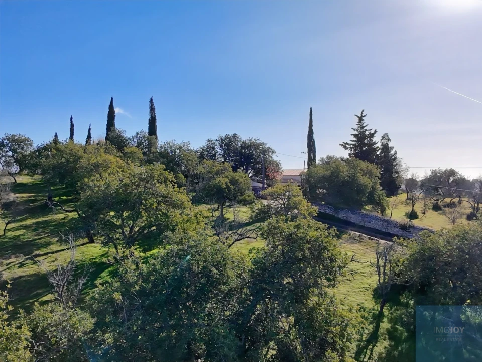 Terreno Agricola ou Rústico para Venda em Paderne Foto 17