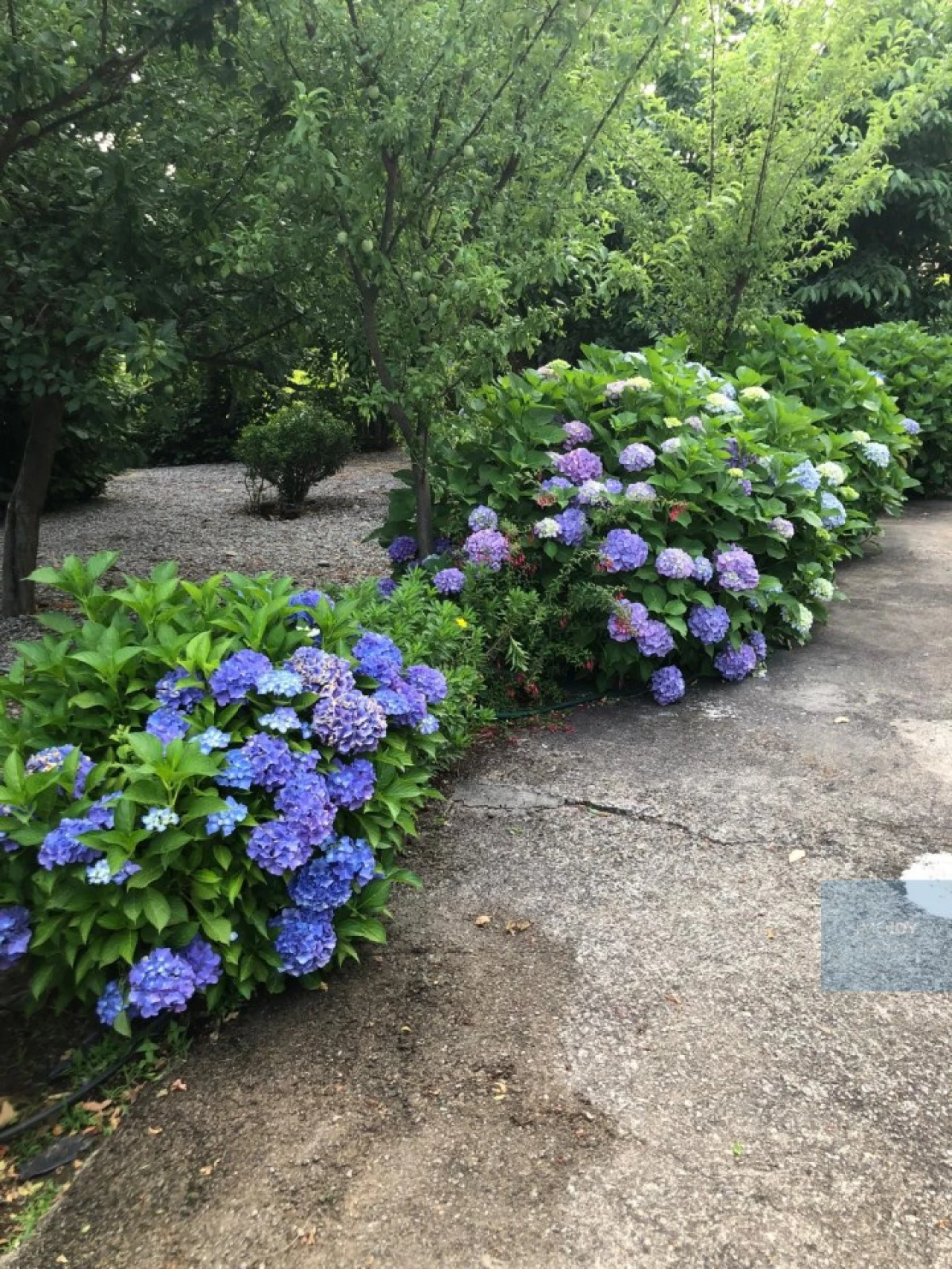 Quinta T3 para Venda em Oliveira do Douro Foto 54