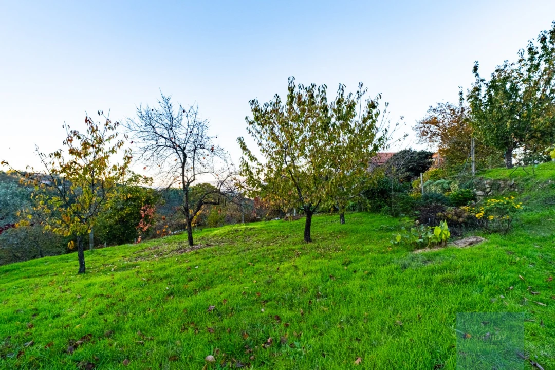 Quinta T3 para Venda em Oliveira do Douro Foto 33