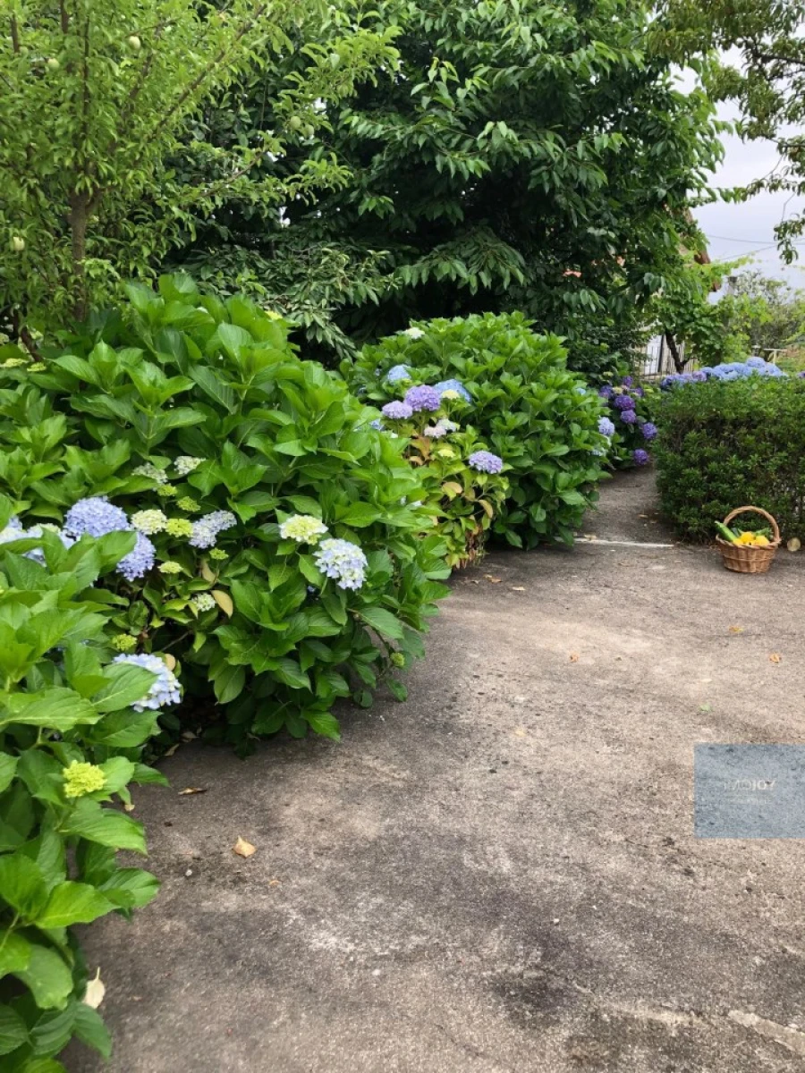 Quinta T3 para Venda em Oliveira do Douro Foto 53