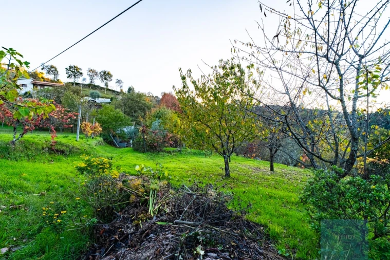Quinta T3 para Venda em Oliveira do Douro Foto 26