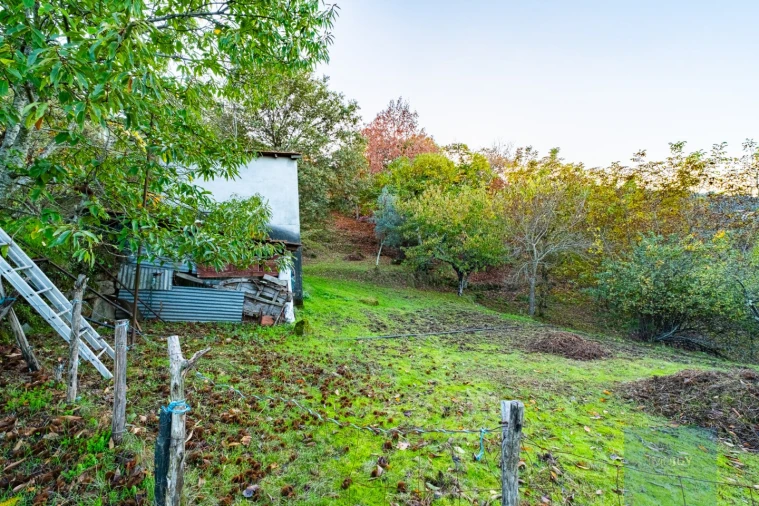 Quinta T3 para Venda em Oliveira do Douro Foto 28