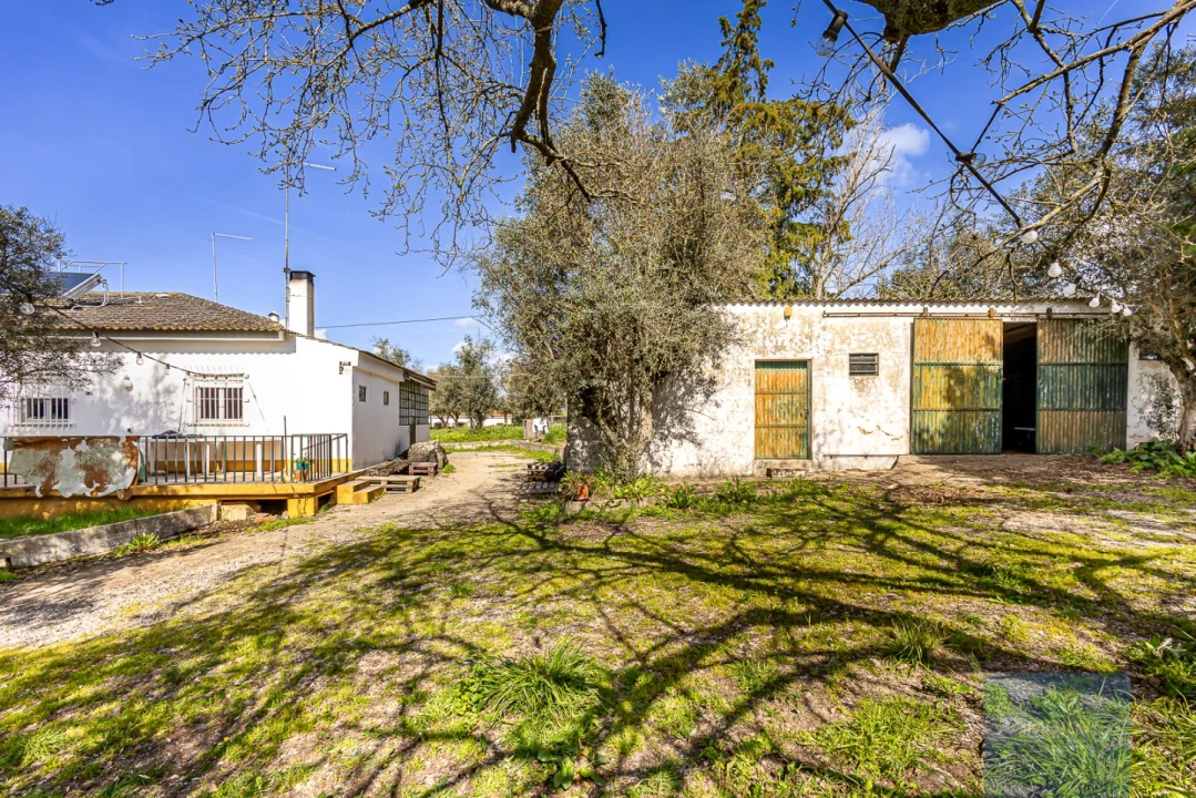 Moradia T4 para Venda em Alter do Chão Foto 17