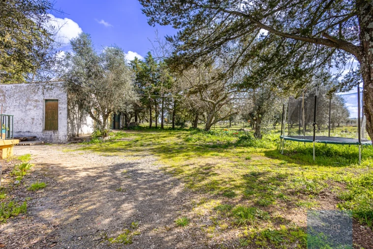 Moradia T4 para Venda em Alter do Chão Foto 19