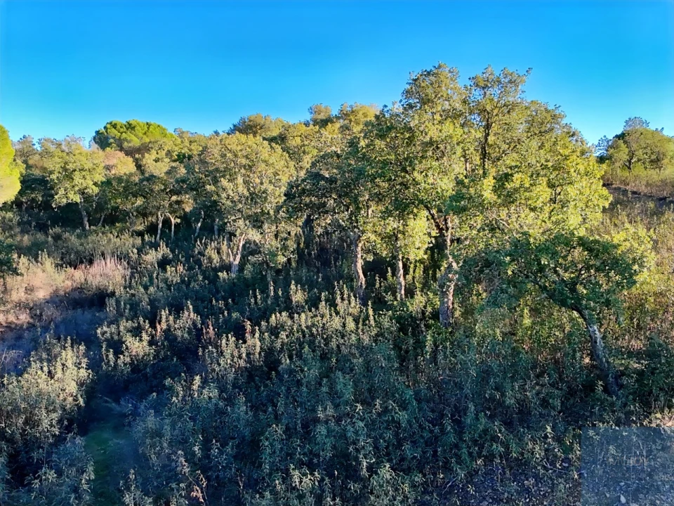 Quinta T1 para Venda em São Bartolomeu de Messines Foto 21