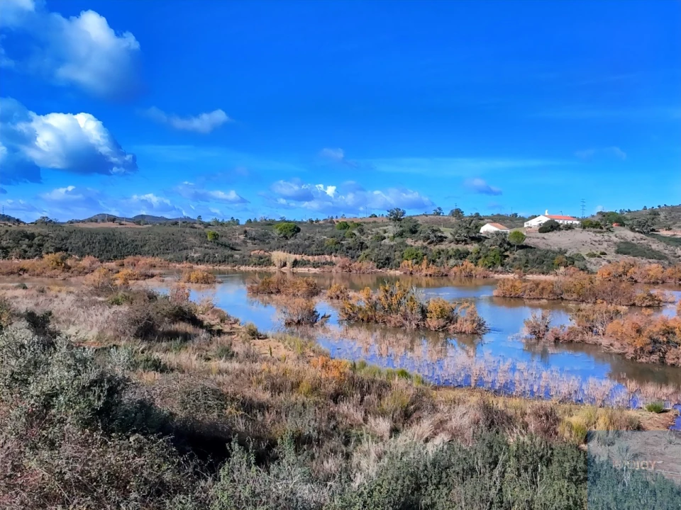 Quinta T1 para Venda em São Bartolomeu de Messines Foto 16