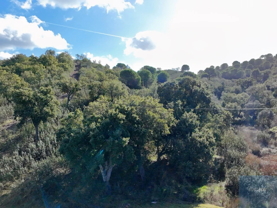 Quinta T1 para Venda em São Bartolomeu de Messines Foto 32