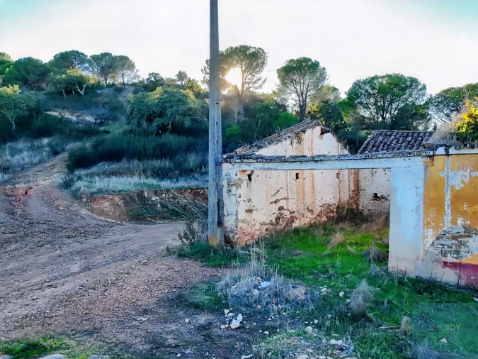Quinta T1 para Venda em São Bartolomeu de Messines Foto 10