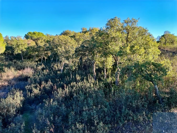 Quinta T1 para Venda em São Bartolomeu de Messines Foto 21