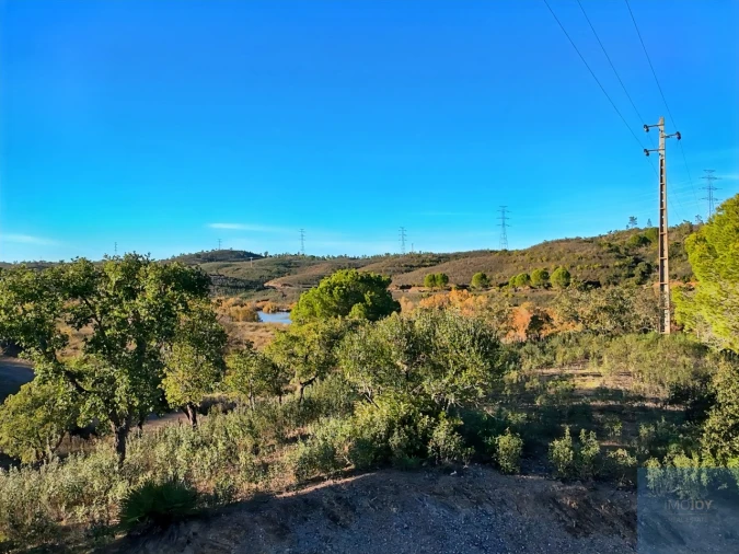 Quinta T1 para Venda em São Bartolomeu de Messines Foto 23