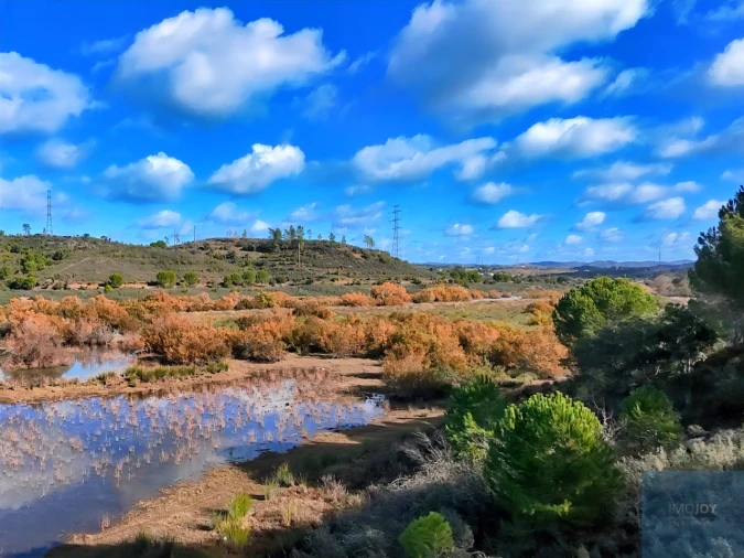 Quinta T1 para Venda em São Bartolomeu de Messines Foto 26