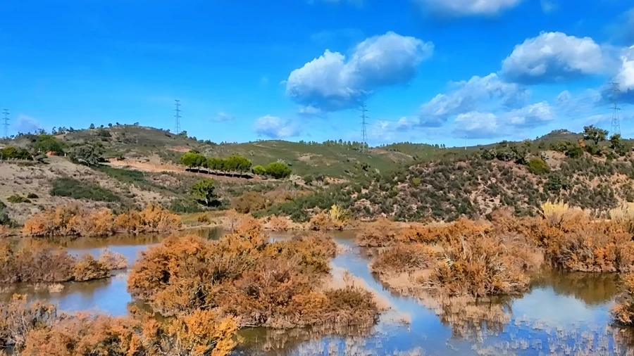 Quinta T1 para Venda em São Bartolomeu de Messines