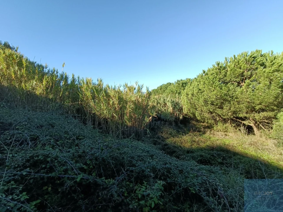 Terreno para Venda em Caparica e Trafaria Foto 1