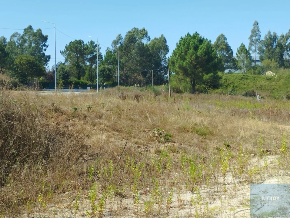 Terreno para Venda em Valongo Foto 6