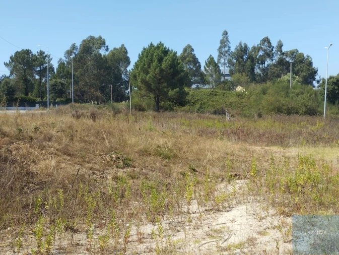Terreno para Venda em Valongo Foto 5