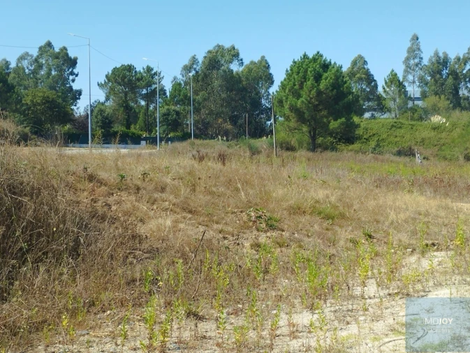 Terreno para Venda em Valongo Foto 6