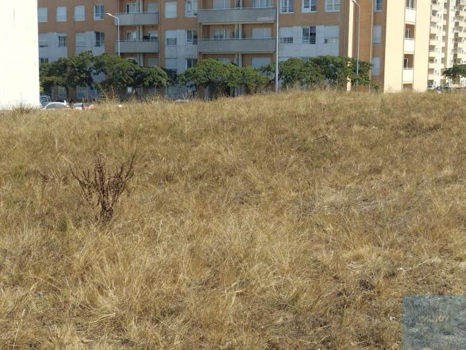 Terreno para Venda em Valongo Foto 26